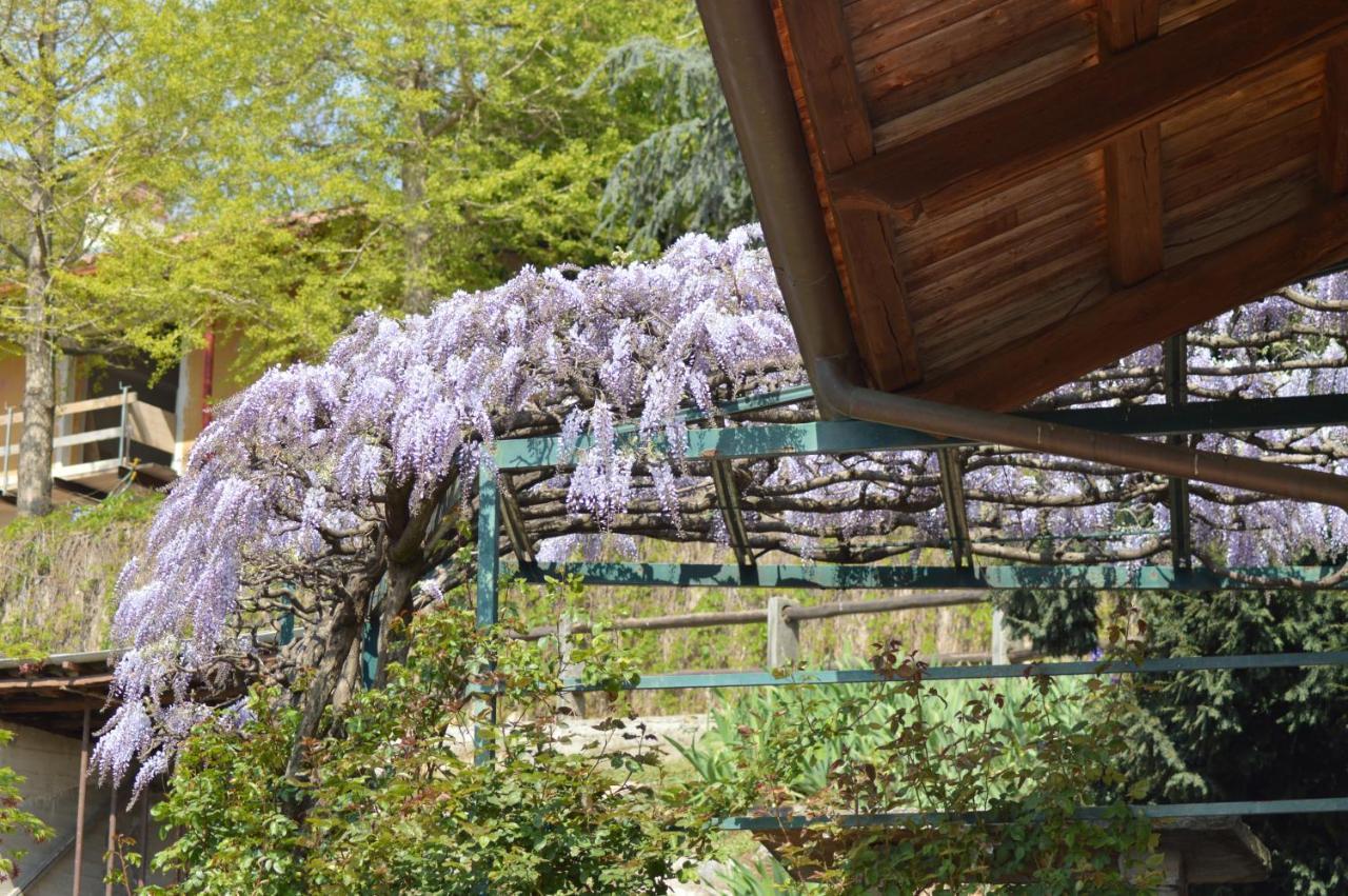 L'Uovo E La Faina Bed & Breakfast Busca ภายนอก รูปภาพ