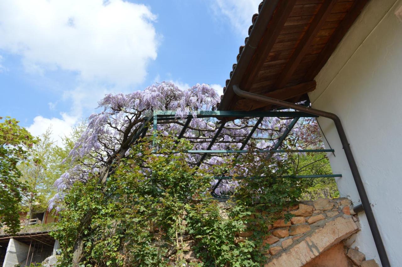 L'Uovo E La Faina Bed & Breakfast Busca ภายนอก รูปภาพ